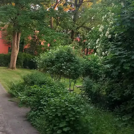 1#netflix &wlan &kingsize Bett &kaffee Maschine & Zentral & 500m Innenhafen & 2 Min U Bahn דיסבורג